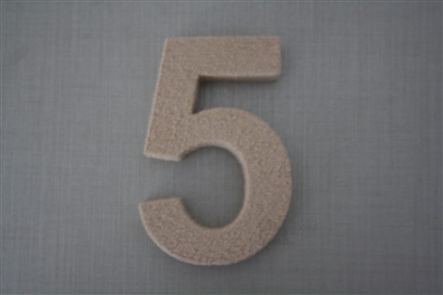 Domovní číslo 5 (typ 1)