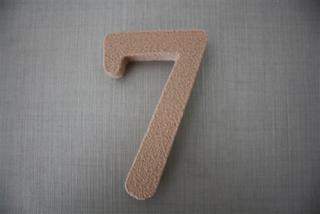 Domovní číslo 7 (typ 3)